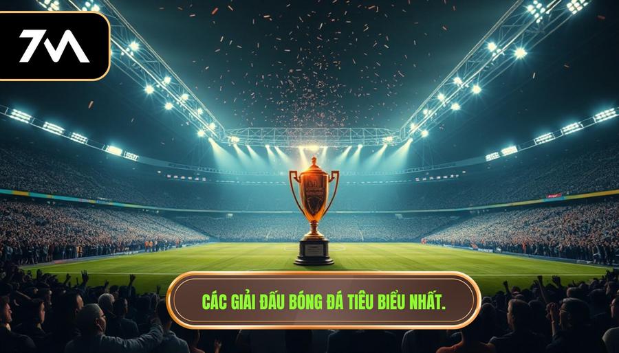 Các giải đấu tiêu biểu không thể bỏ qua